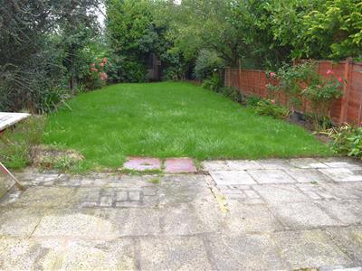 Picture 15